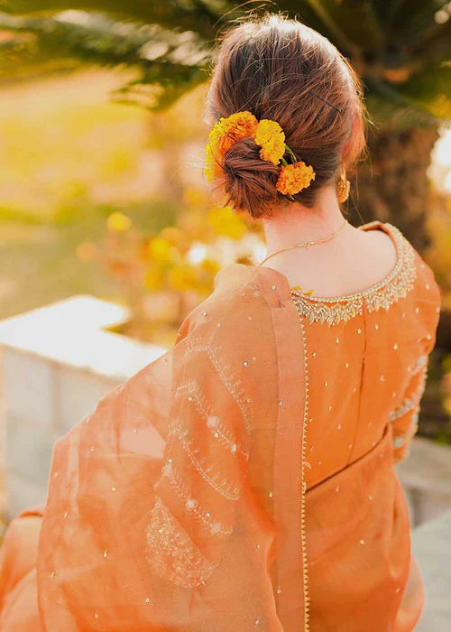 Amna Ismail LAMA ORANGE SAREE