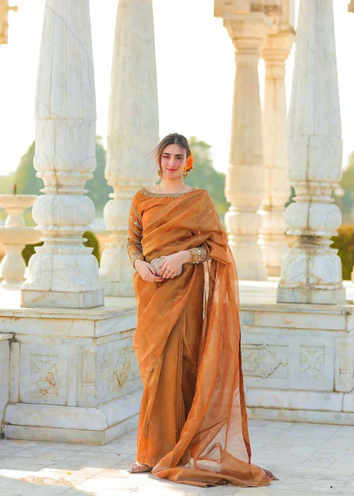Amna Ismail LAMA ORANGE SAREE